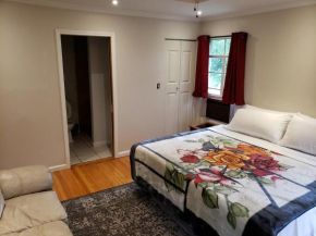 9 guests 4 Bedrooms 4 Bathrooms Near Medical Center Pets Welcome